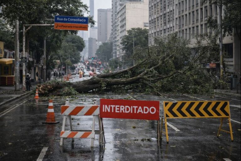 Queda de árvore interdita trecho da Rua da Consolação após temporal em São Paulo