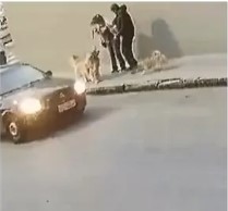Mulher é agredida a socos enquanto passeava com cachorro no Brooklin, Zona Sul de SP