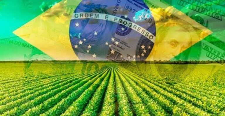 Recuperações judiciais no agro batem recorde, e secretário de Agricultura de SP culpa país que “gasta mais do que arrecada”